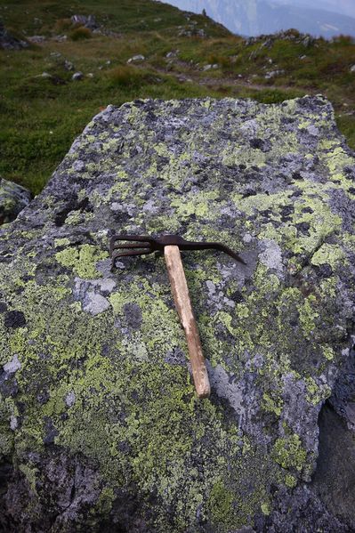 Datei:Speikkramperl 1290 13-08-06.jpg