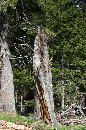 Strickerkar 55619 2014-05-02.jpg