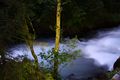 Talbachklamm nacht 65640 2014-06-16.jpg
