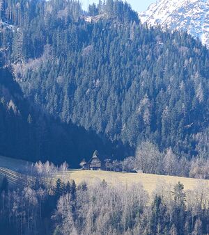 Treberer strechau 108-2025-03-06 2.jpg