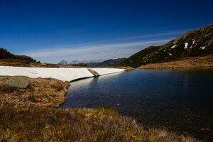 Untere riednersee-1000-2020-06-12-6.jpg