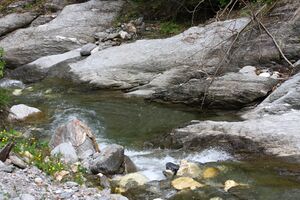 Walchenbach 99838 2015-06-07.jpg