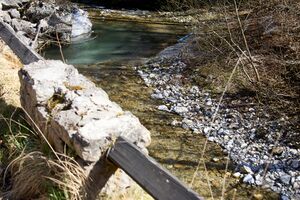 Weißenbach st.gallen-0066-2025-03-21.jpg