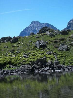 Wildkar 17491 2006-07-17.jpg