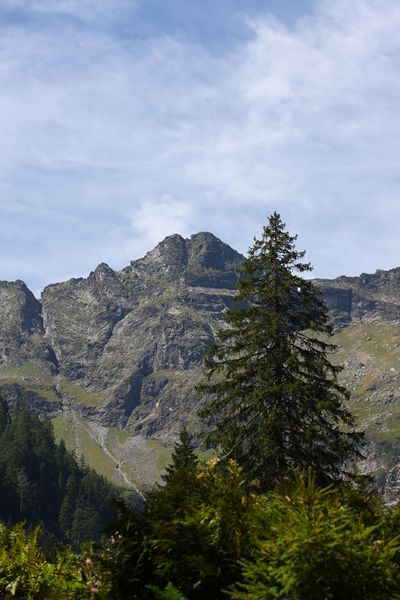 Datei:Zwilling lassachalm 99477 2015-08-28.jpg