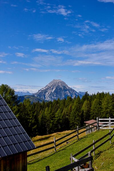 Datei:Bärenfeichtenalm-3124-2021-08-03.jpg
