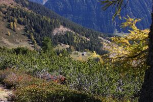 Kaltherbergalm 36501 2011-10-18.jpg