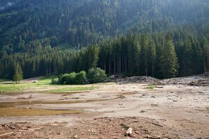 Mure Untertal-055-2026-06-30.jpg