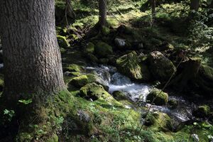 Strummern mühlreith 47201 2017-05-17.jpg