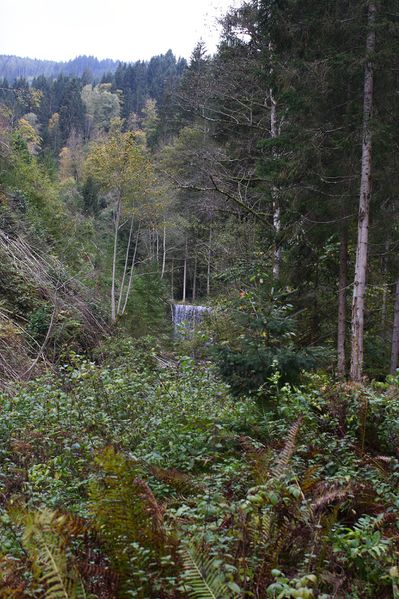 Datei:Teufelsschlucht Seewigtal 73292 2014-10-02.jpg