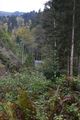 Teufelsschlucht Seewigtal 73292 2014-10-02.jpg