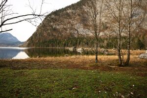 Altaussee seewiese 79086 2014-11-15.jpg