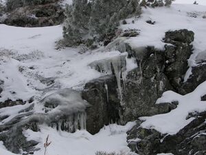 Gamsfeld pietrach 48005 2007-02-01.jpg