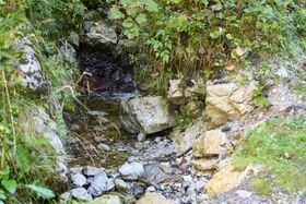 Gerinne 603881 Schaufelhacker buchau-0120-2025-09-15.jpg