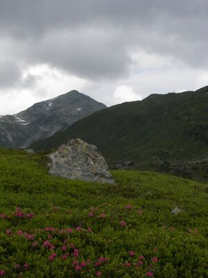 Giglach 2111 2006-07-10.jpg