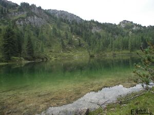 Grafenbergsee100 6919.jpg