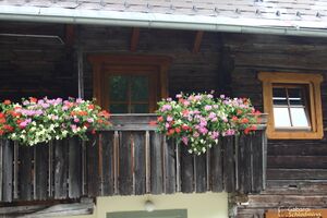 Hörischhof 9015.jpg