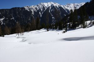 Hoferalm obertal 98685 2015-04-09.jpg