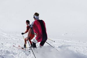 Hubsi-Lauf 2015-95531 n.jpg