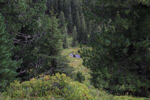 Jausenkogel ost 56279 2017-08-23.jpg