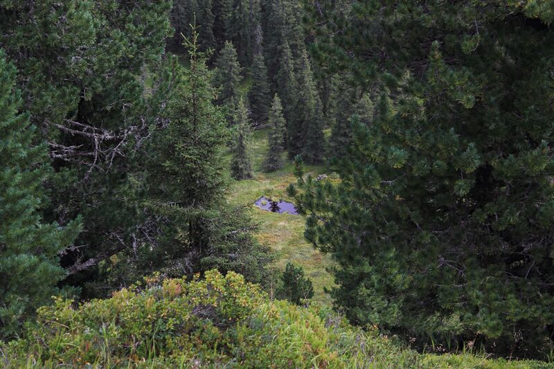 Datei:Jausenkogel ost 56279 2017-08-23.jpg