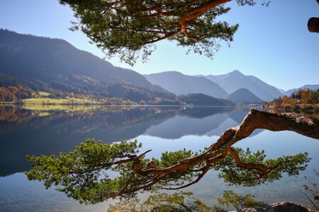 Naturdenkmal 339-1009-2014-11-03.jpg
