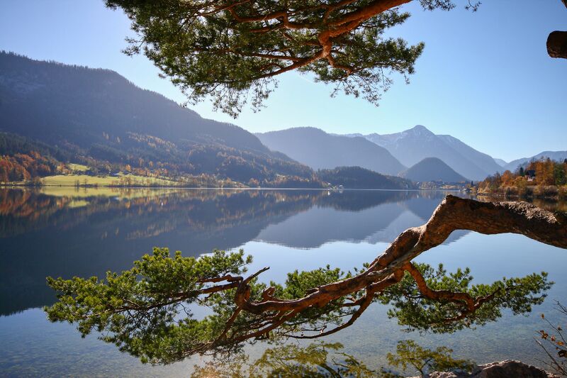 Datei:Naturdenkmal 339-1009-2014-11-03.jpg