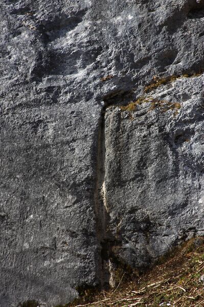 Datei:Oberwasseralm 79173 2014-11-15.jpg