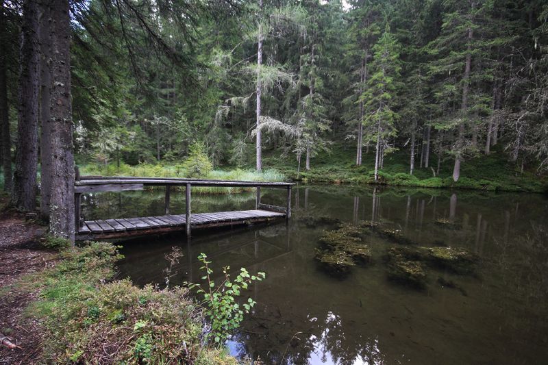 Datei:Salleitnerteich Oberhausberg 57584 2017-09-15.jpg