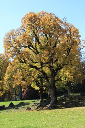 Schildlehen ramsau 60242 2017-10-05.jpg