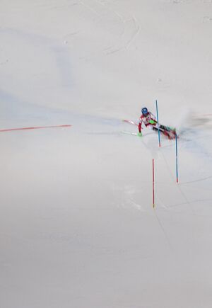 Schwarz Slalom 1TG-0944-2025-01-29.jpg