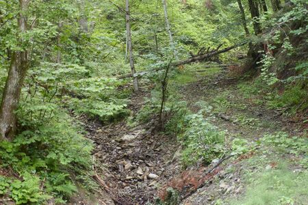 Sulzbach Krippau-0051-2025-06-24.jpg