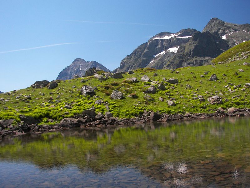 Datei:Wildkar 17490 2006-07-17.jpg