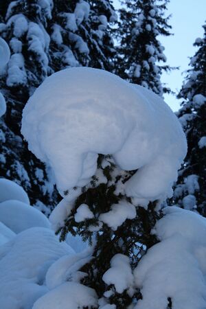 Alpinsteig höll 13257 2007-12-20.jpg