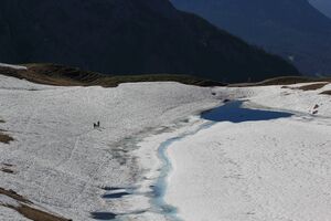 Augstsee loser 50343 2017-06-11.jpg