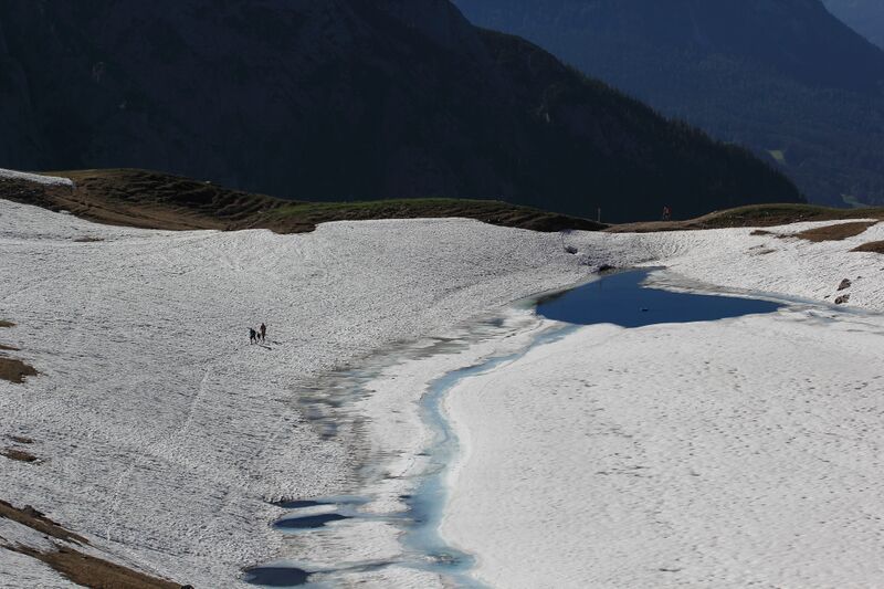 Datei:Augstsee loser 50343 2017-06-11.jpg