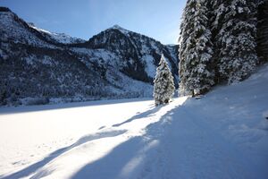 Bodensee 26543 2014-01-01.jpg