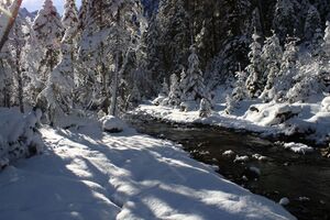 Bodenseerbach 26724 2014-01-01.jpg