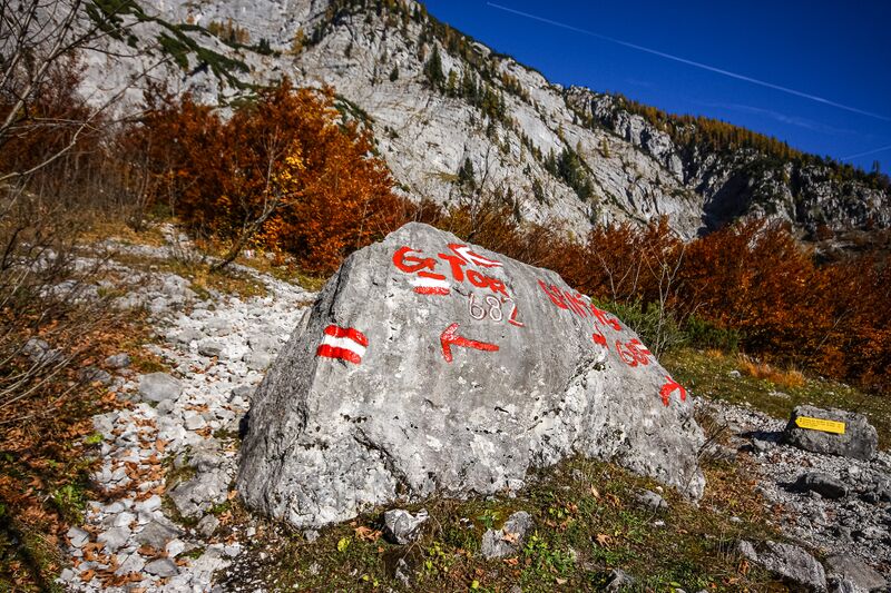 Datei:Die Au grimming-1005-2015-10-28.jpg