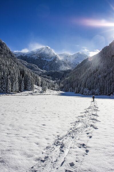 Datei:Eschachboden 36513 2016-11-09.jpg
