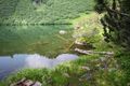 Finsterkarsee 1165 13-07-12.jpg