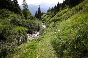 Mößnakarbach 0890 13-07-12.jpg