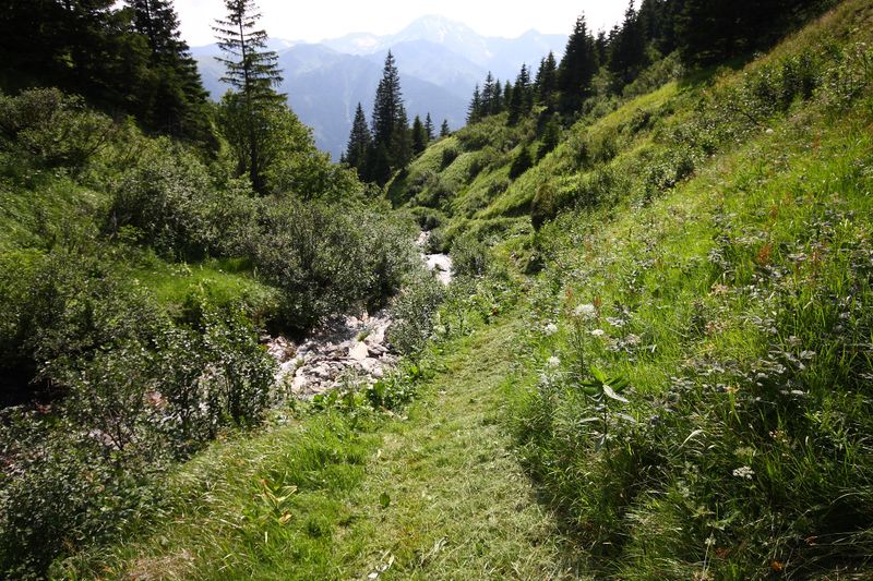 Datei:Mößnakarbach 0890 13-07-12.jpg