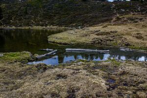 Michelirlingsee-108-2020-05-22.jpg