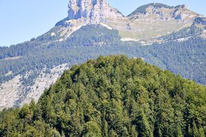 Plattenkogel Puchen-431-2026-08-13.jpg