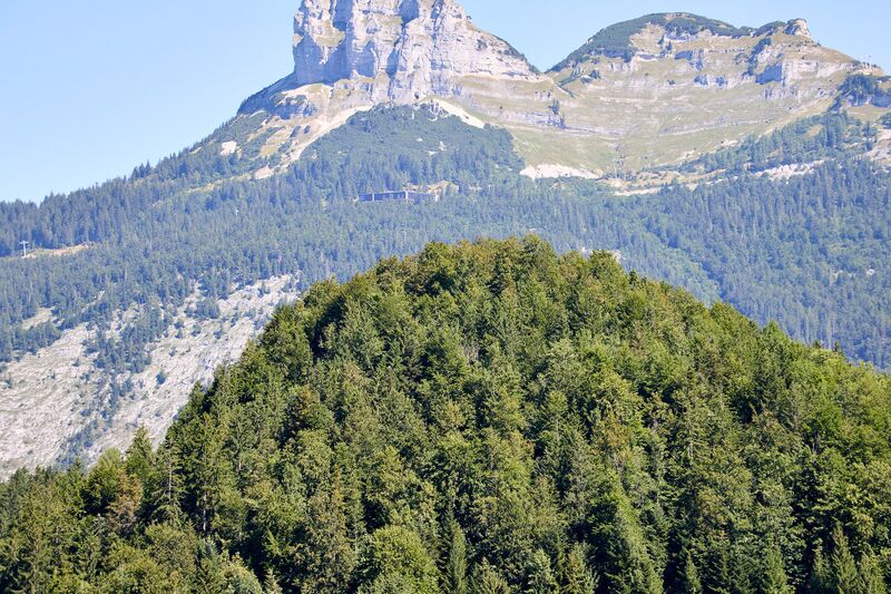 Datei:Plattenkogel Puchen-431-2026-08-13.jpg
