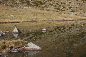 Rantensee 75036 2014-10-19.jpg