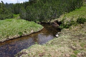 Sabinkar 90237 2015-06-08.jpg