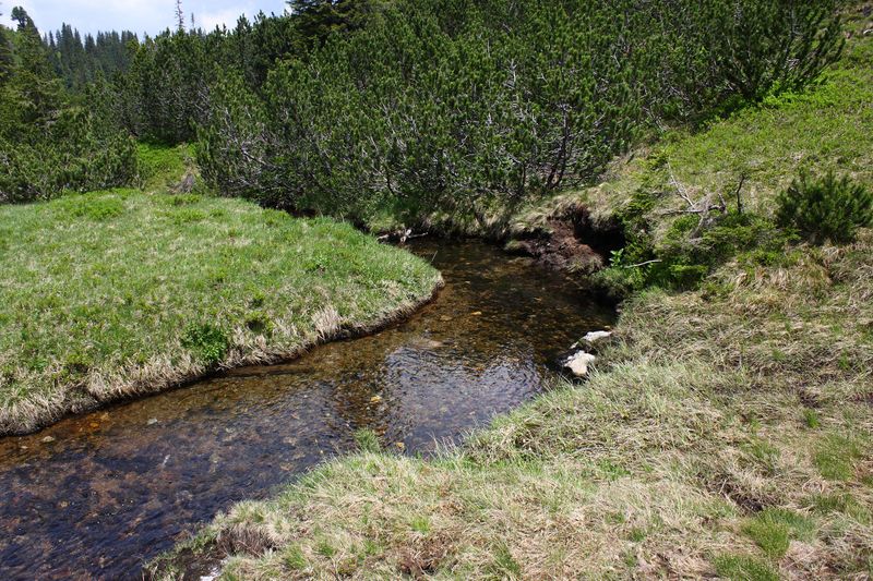 Datei:Sabinkar 90237 2015-06-08.jpg