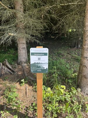 Sternenplatz birnberg 0493.JPG